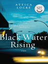 Cover image for Black Water Rising
